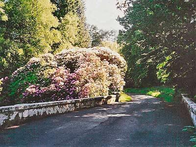 Forget Me Not - Skkz Villa Dalmellington Exteriör bild